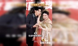 明星爆料新闻视频,揭秘幕后真相，视频揭秘娱乐圈风云